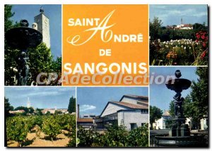 Postcard Modern Saint-Andr?-de-Sangonis