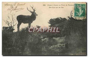 Old Postcard Hunting Hounds has Foret in Fontainebleau Ten Horns on his way D...