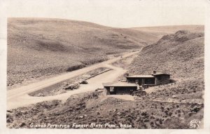 RPPC: Ginkgo Petrified Forest State Park, WA, Ming, Ellis #503 (PC1316)