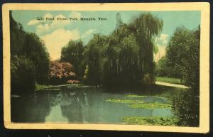 Postcard Used Lily Pond Forest Park Memphis TN LB