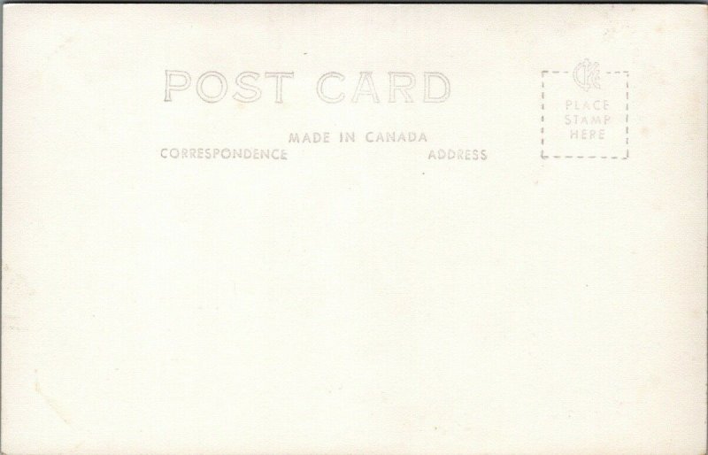 Prince Albert SK Saskatchewan Birdseye Unused Real Photo Postcard F72