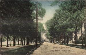 Marietta OH Muskingum Ave c1910 Postcard