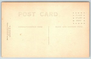 RPPC  Ammonoosuc  Lower Falls  New Hampshire    Postcard