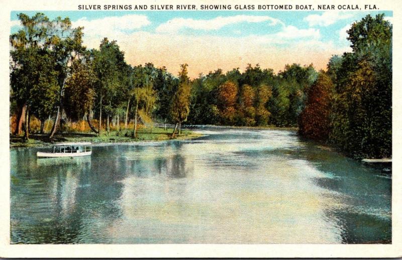 Florida Silver Springs Glass Bottom Boat Curteich