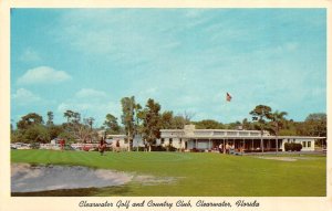 Florida FL   CLEARWATER GOLF & COUNTRY CLUB  Golf Course VINTAGE Chrome Postcard