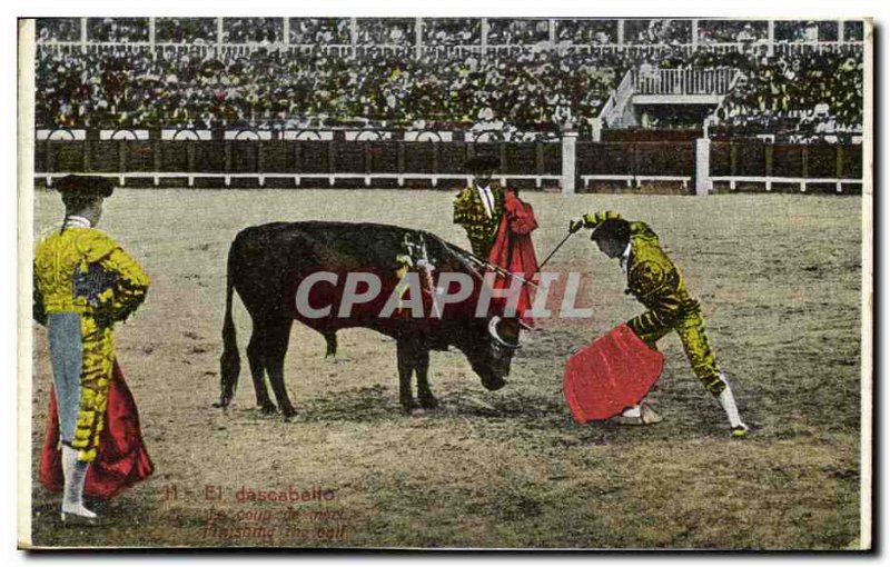 Old Postcard Bullfight Bullfight El dascabello