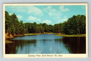 Between The Lakes Recreational KY-Kentucky Scenic View Vintage Chrome Postcard