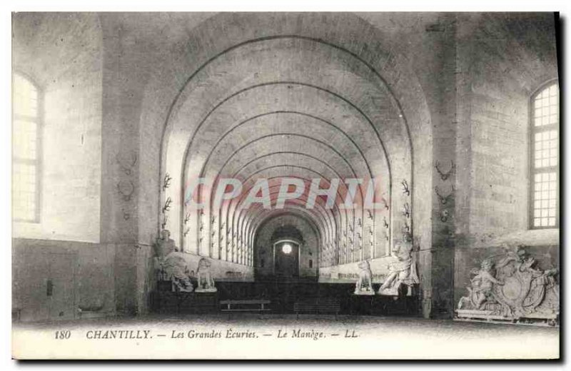 Old Postcard Chantilly the Great Stables Horses Le Manege