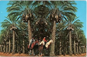 Chrome FARM SCENE Indio California CA AH7172