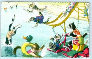 Mainzer Dressed Cats WATER SLIDE Kittens #4888 Anthropomorphic 1985 Postcard 