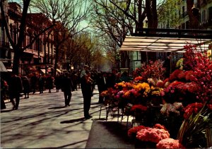 Spain Barcelona Ramble Of The Flowers