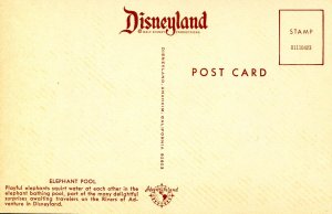 CA - Anaheim. Disneyland. Elephant Pool