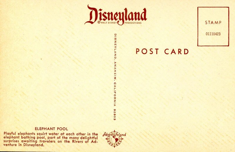CA - Anaheim. Disneyland. Elephant Pool