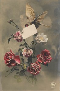 Birds & poultry topical vintage postcard France bird delivering mail and roses