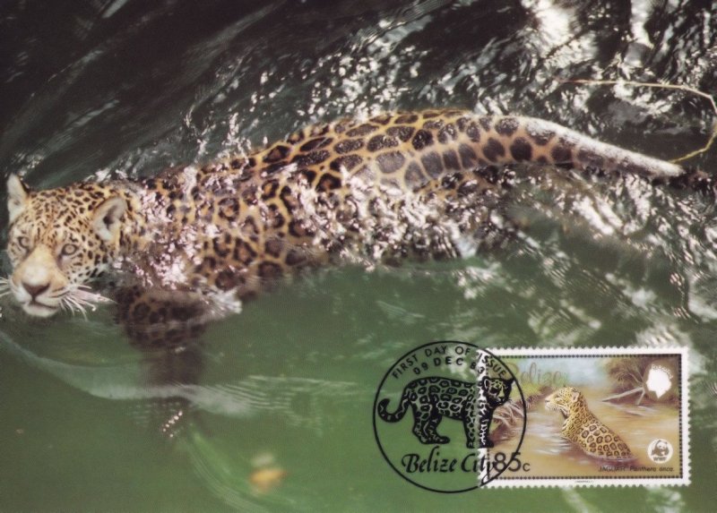 Belize Jaguar Swimming WWF Stamp First Day Cover Postcard