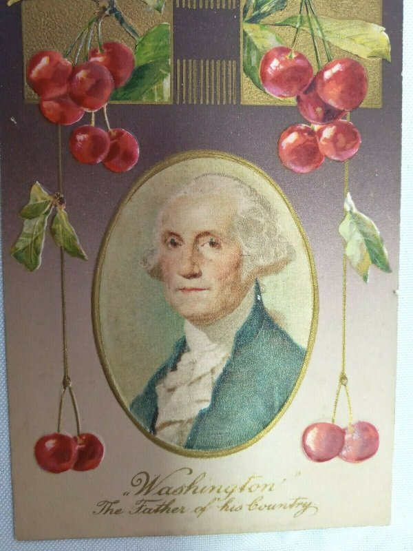 Vintage Postcard 1910s Washington The Father of his Country Cherry Tree Embossed