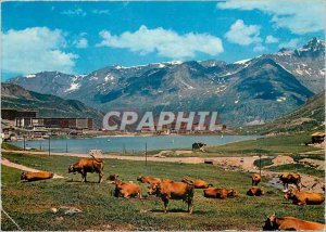 Postcard Modern Tarentaise Station Lake Tignes (Savoie) 2100 m alt pasture ne...