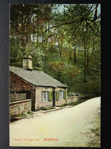 Yorkshire Leeds BRADFORD Esholt Springs - Old Postcard by B&D