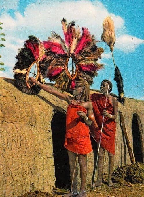 Masai Maiden Women Dancers Spear Weapons Fashion Rare Africa African Postcard