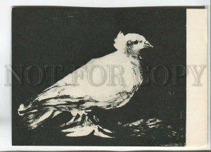 480763 USSR Lithuania Pablo Picasso dove of peace Vintage postcard