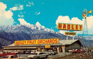 Cabazon California outside Hadle Fruit Nut Orchards vintage pc Z12961