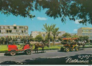 NATHANYA , Israel , 50-70s ; Coaches at Independence Square