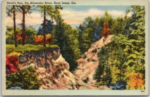 Georgia GA, Devil's Den, On Altamaha River near Jesup, Nature, Vintage Postcard