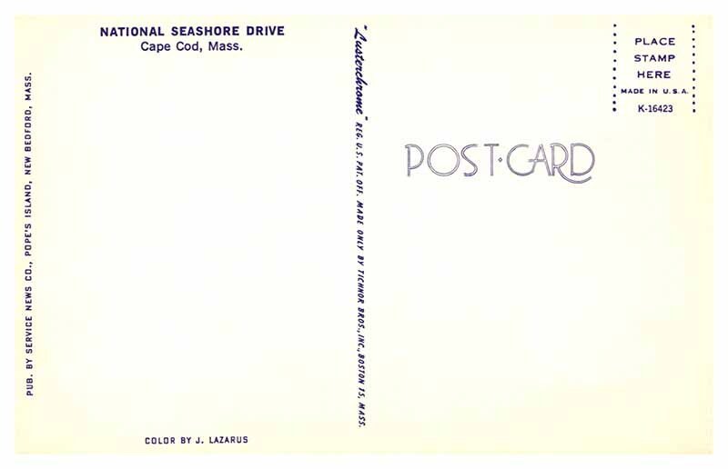 Postcard AERIAL VIEW SCENE Cape Cod Massachusetts MA AT4604