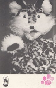 Anglia Television Old Puppet Toy Presenter Vintage 1970s Postcard Photo