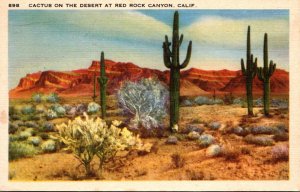 Cactus On The Desert At Red Rock Canyon California 1947