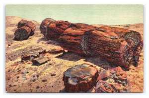 Giant Logs Rainbow Forest Petrified Forest Arizona Postcard