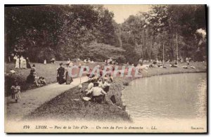 Old Postcard Lyon Parc de la Tete Gold A Corner Park Sunday