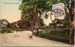 Bovenweg te Sabang Indonesia 1913 Nederland Stamp Postcard E43