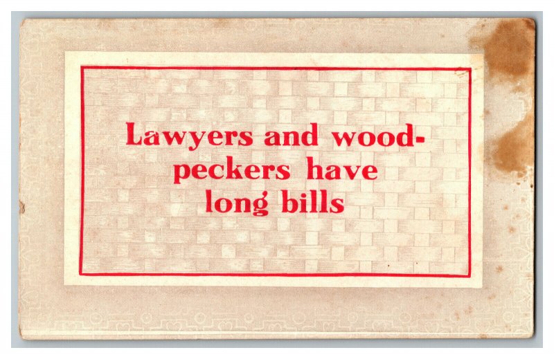 Postcard Lawyers Woodpeckers Have Long Bills Vintage Standard View Comic Card 