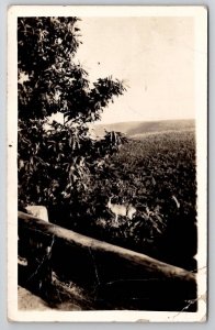 PA View From High Knob Sullivan County Pennsylvania RPPC Real Photo Postcard V28