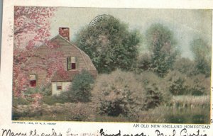 Vintage Postcard 1908 An Old New England Homestead MA Massachusetts