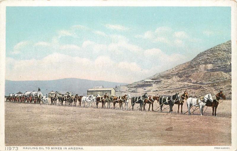 Twenty Caballo Team Tren Transporte Mineral a Arizona Minas Fred Harvey