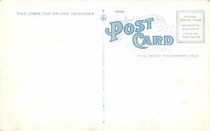 Bird's Eye View Hancock, New York Postcard