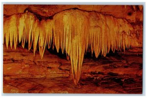 View Of The Elephant's Head Marengo Cave Indiana IN Vintage Unposted Postcard