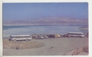 P2813, vintage postcard cars buses lakeview pt. just off boulder dam hwy unused