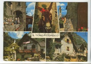 441121 Switzerland 1975 year Il Ticino Donkey RPPC