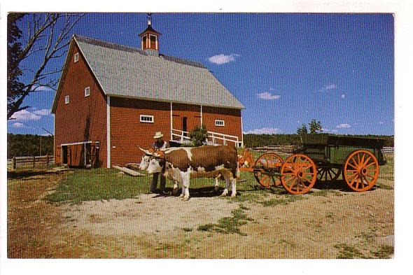 Team of Oxen Outside Barn, New Ross, Nova Scotia, Book Room