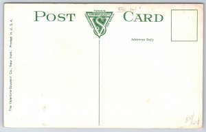 Terre Haute Indiana~Wiley High School~Huge Dormers, Thin Chimneys~c1910 Postcard