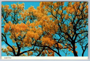 Gold Tree, Hawaii, Chrome Postcard