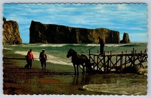 Retrieving Wharf For Winter, Perce Rock, Quebec Canada, Vintage Chrome Postcard