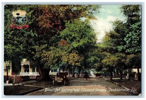c1910 Beautiful Springfield Classic Car Dirt Road Trees Jacksonville FL Postcard 