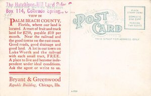 Packing Oranges Advertising on back side - Orange Groves, Florida FL Postcard