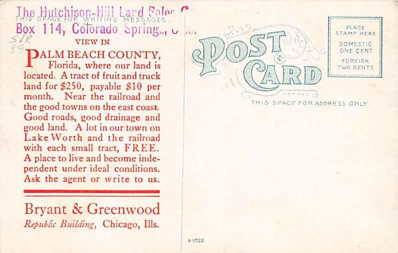 Packing Oranges Advertising on back side - Orange Groves, Florida FL Postcard