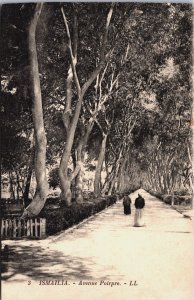 Egypt Ismailia Avenue Poirpre Vintage Postcard C085