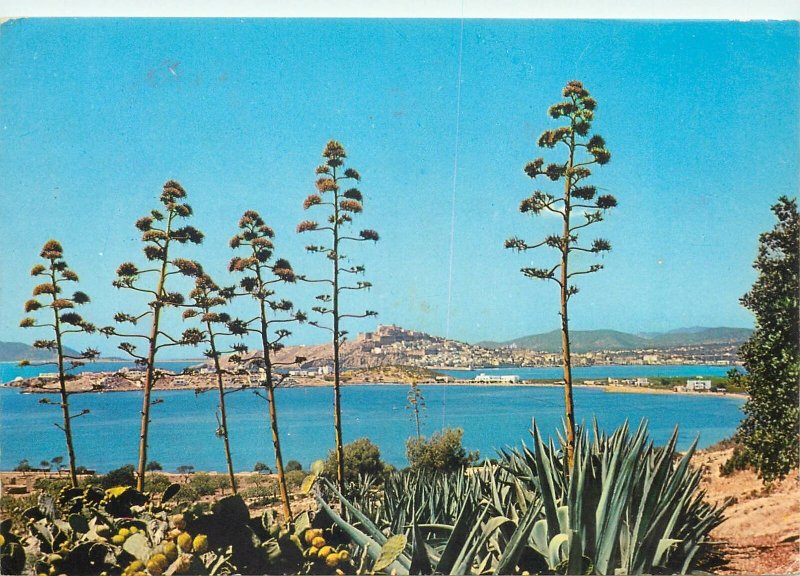Postcard Spain Ibiza Baleares